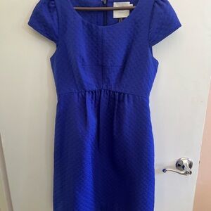 HD in Paris Royal Blue Mini Dress